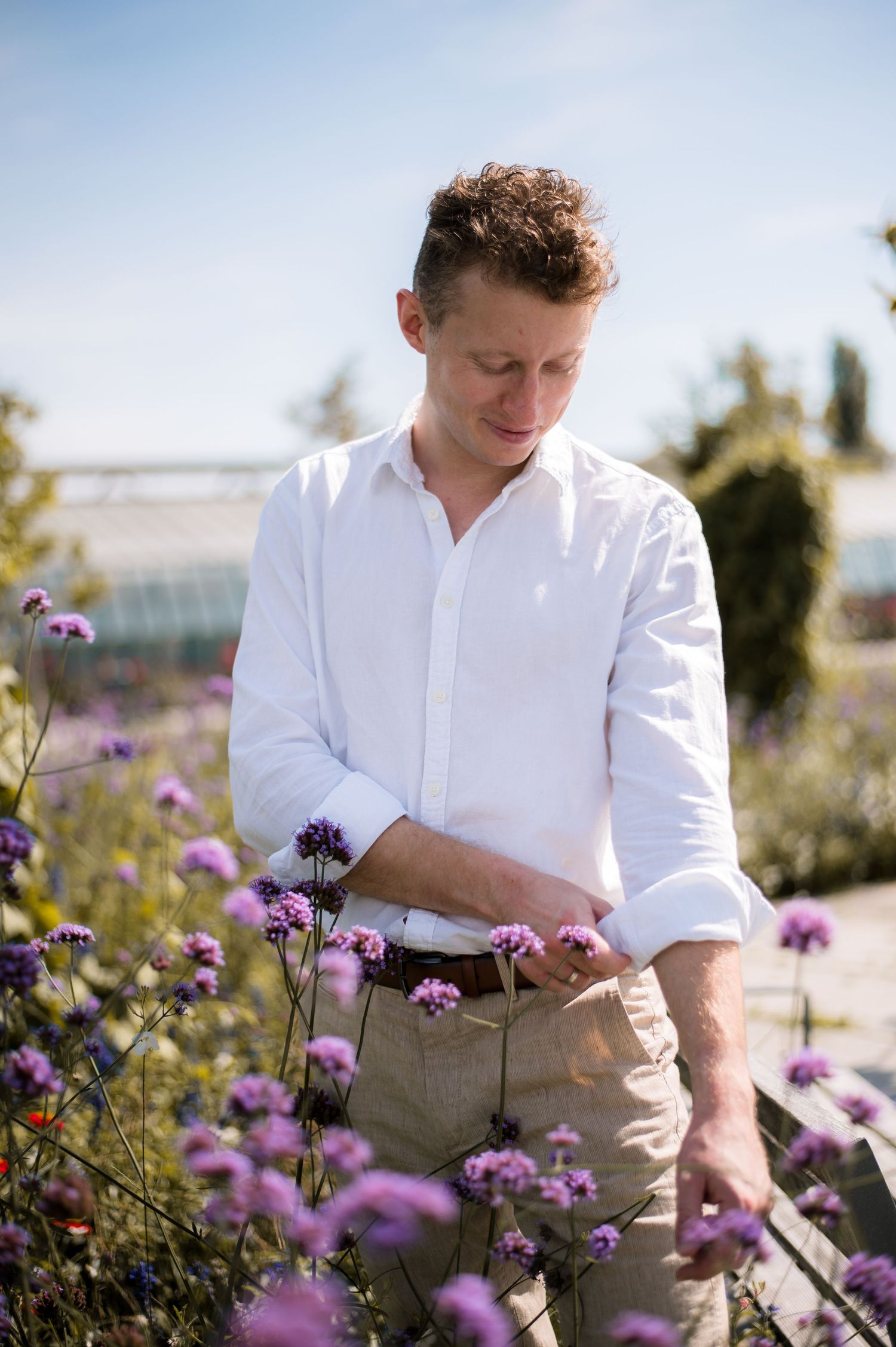Man in white shirt examining purple flowers in a sunny garden with greenhouse in background.