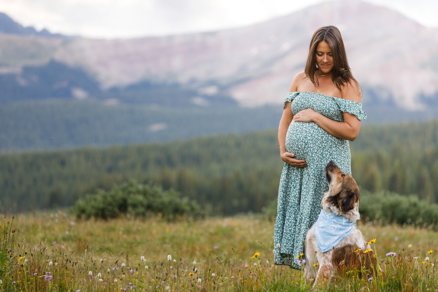 Woman in blue dress walking through mountain meadow with wildflowers in progressive shots.