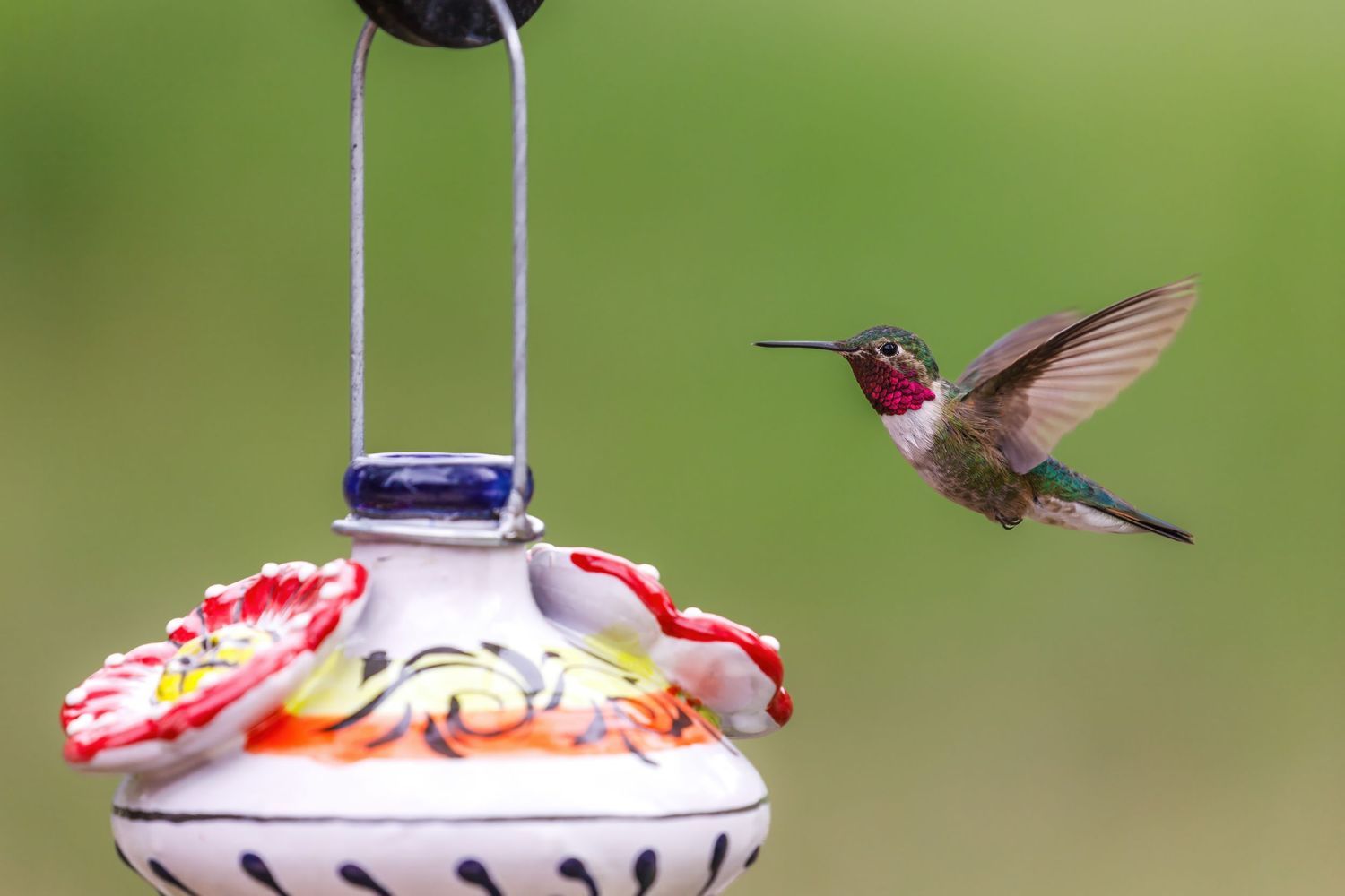 A ruby-throated hummingbird approaches an ornate ceramic feeder against a blurred green background.