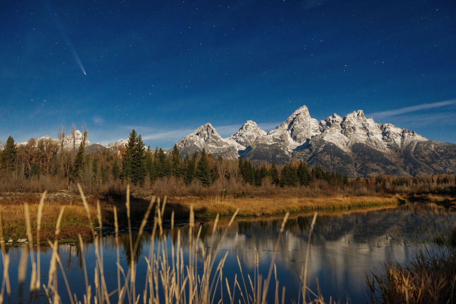 Panoramic view of the Grand Tetons reflected in a calm lake with cattails in the foreground.