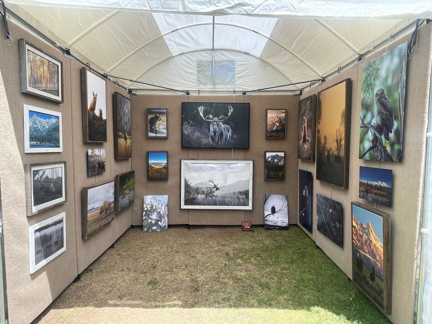 A panoramic view of an art gallery interior with framed photographs displayed on beige walls under curved ceiling.