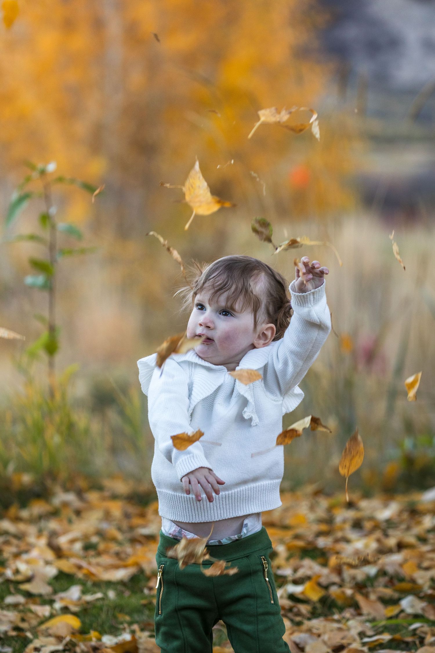 Small child playing with falling autumn leaves in a park.