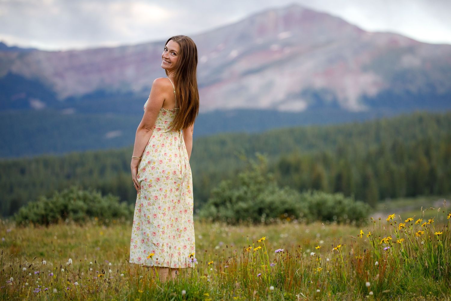 Scenic mountain landscape with wildflower meadow in foreground.