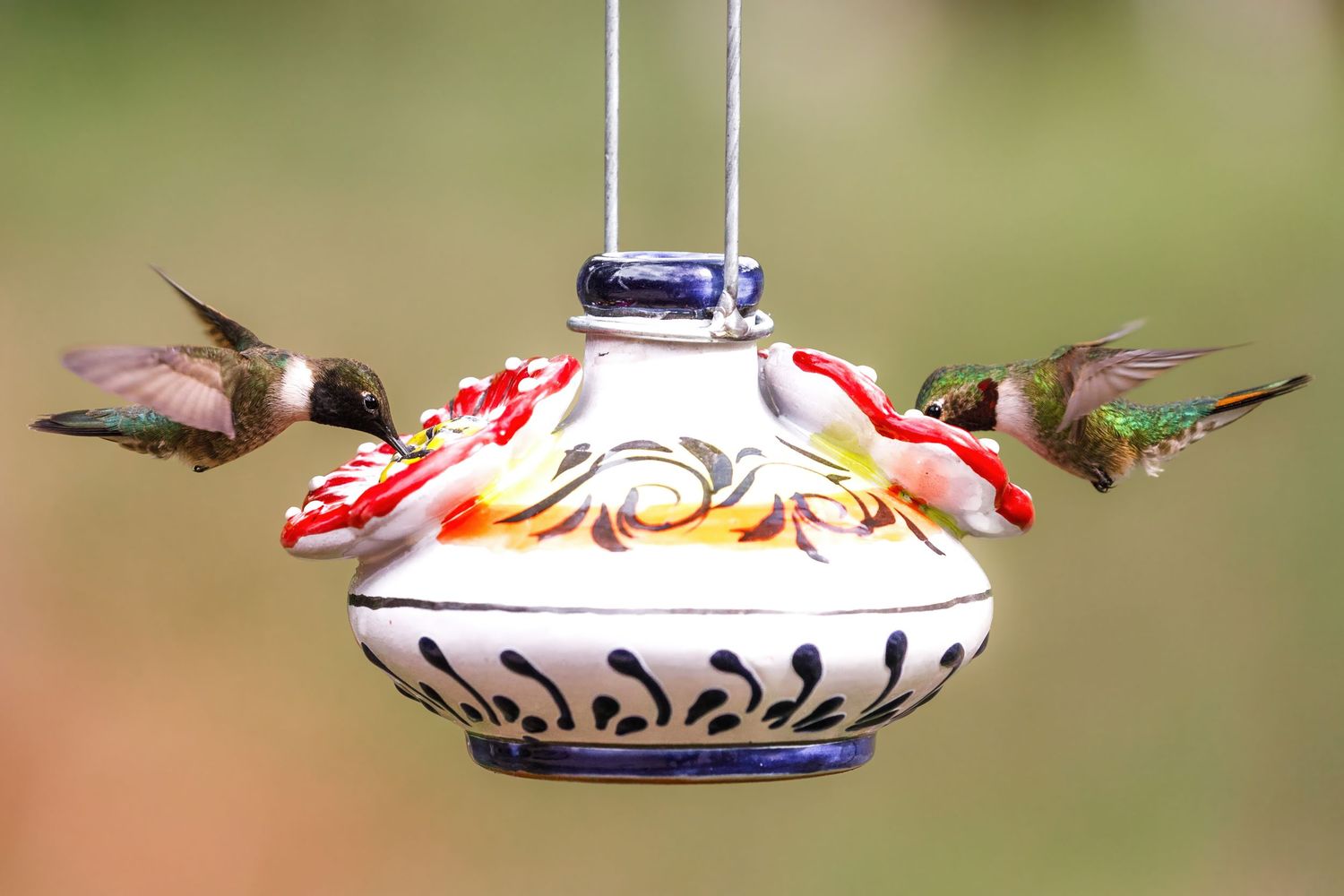 Two hummingbirds hover near a decorative ceramic feeder with red and orange floral designs.