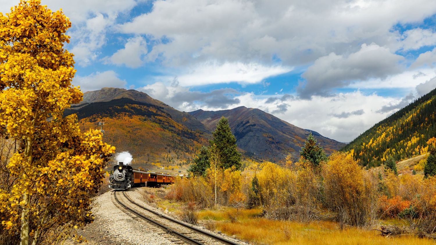 Autumn panorama of golden aspen trees and mountain peaks under blue sky.