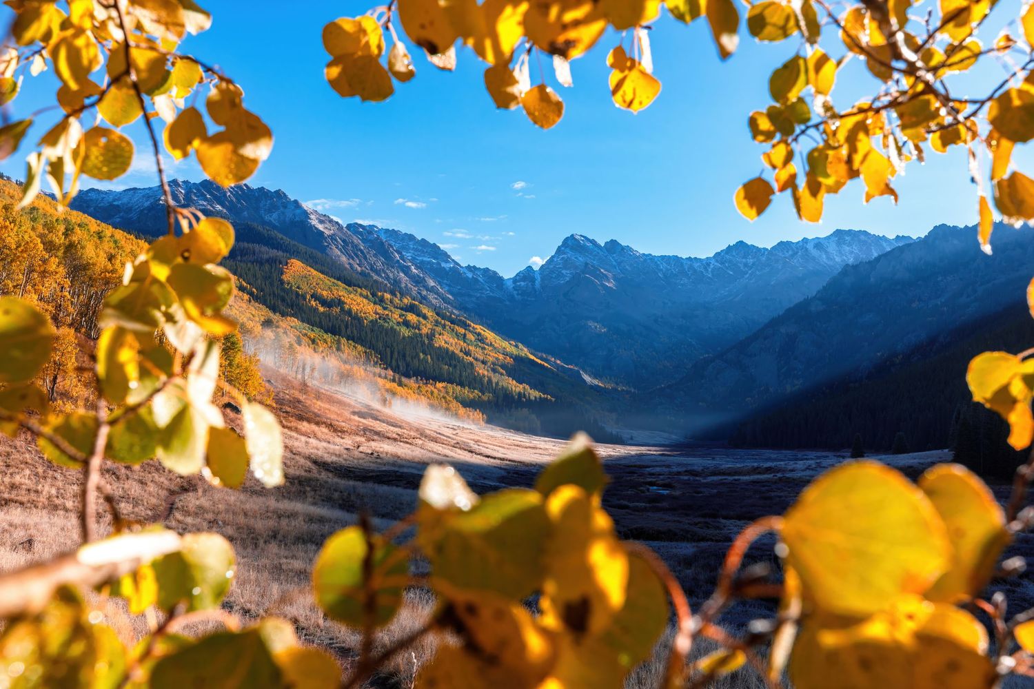 Golden aspen leaves frame a dramatic mountain vista with snow-capped peaks in the distance.