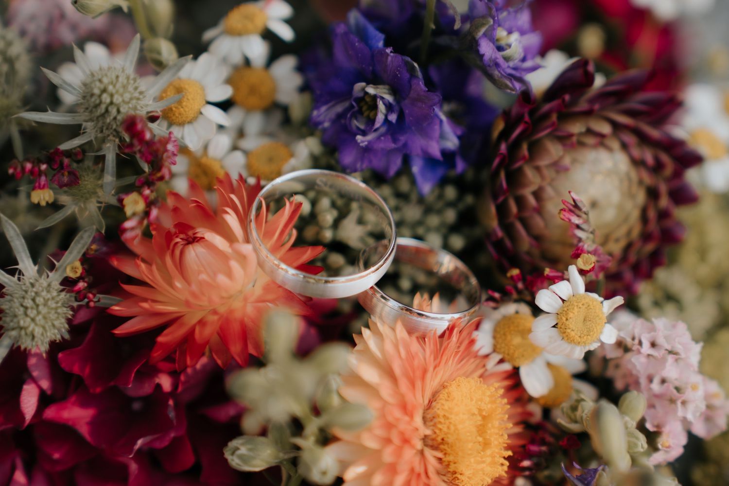 Two silver wedding rings rest on a vibrant bouquet of colorful flowers including dahlias, daisies, and purple blooms.