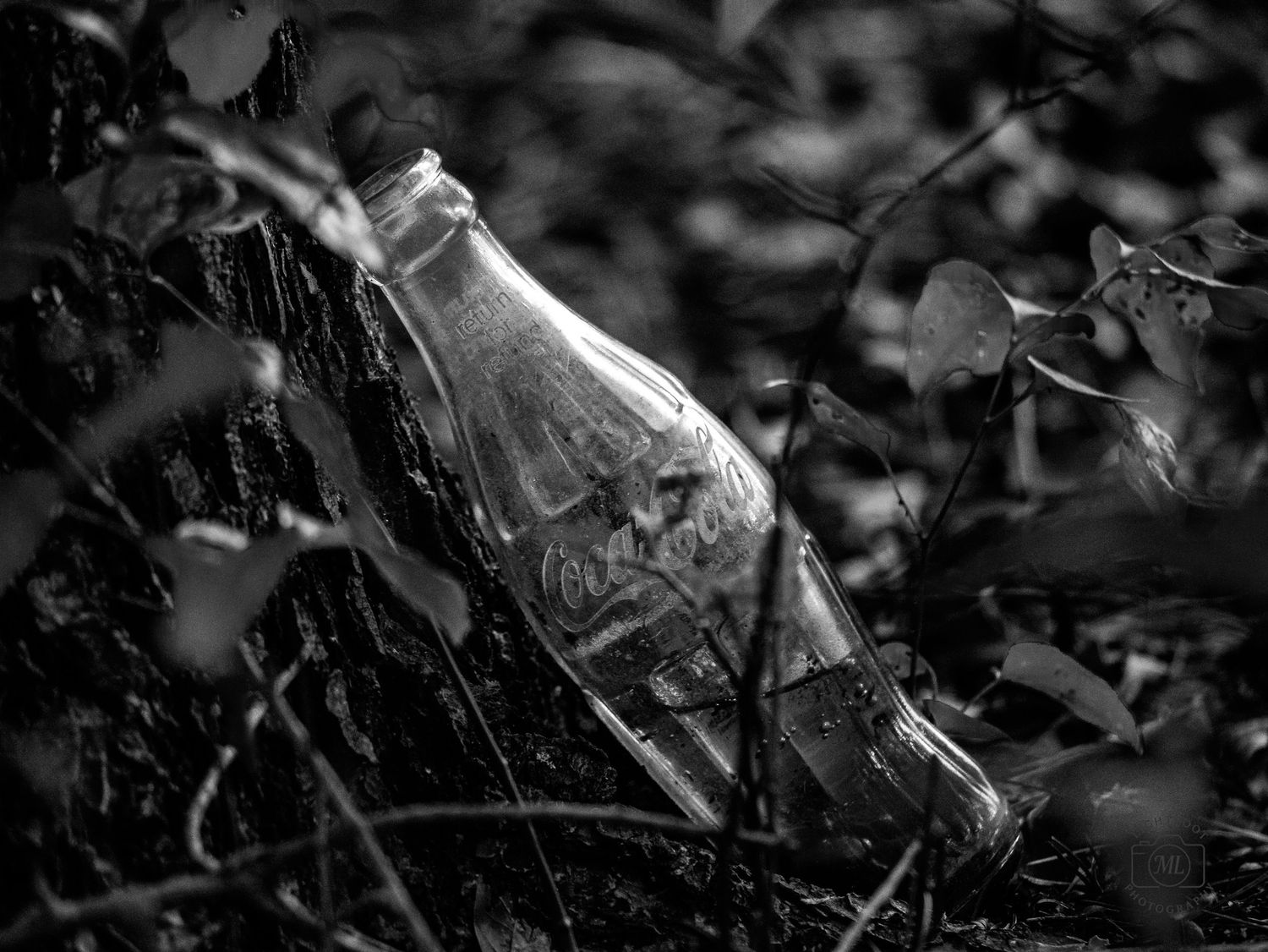 The Last Bottle