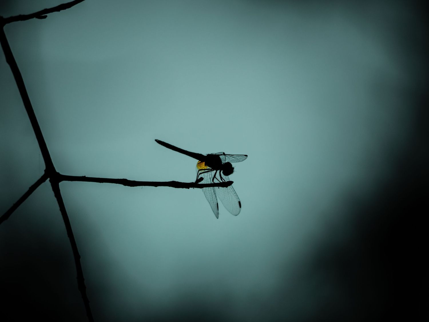 Weightless Silence