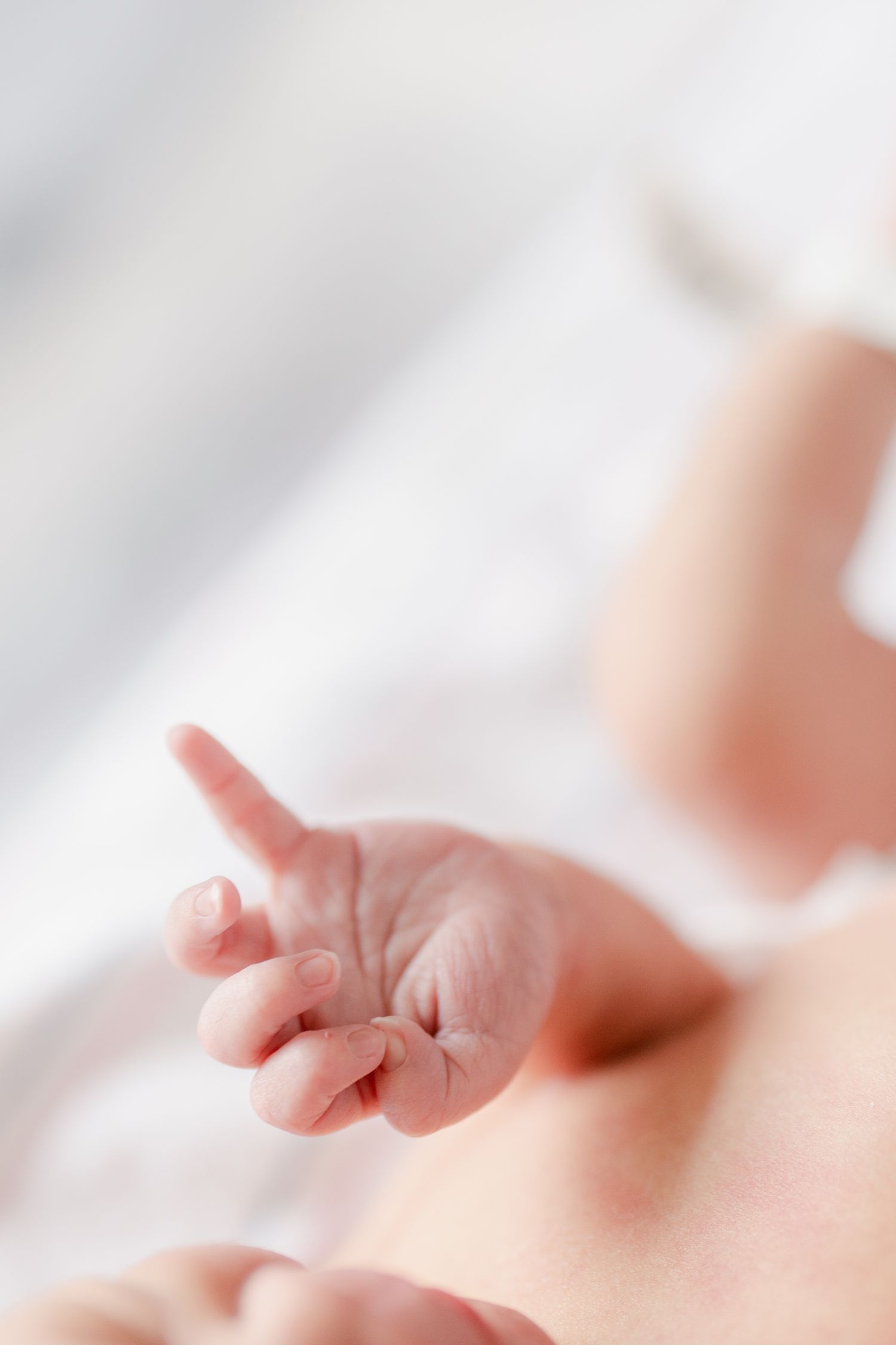 Delicate detail shot of newborn baby's small fingers and hand.