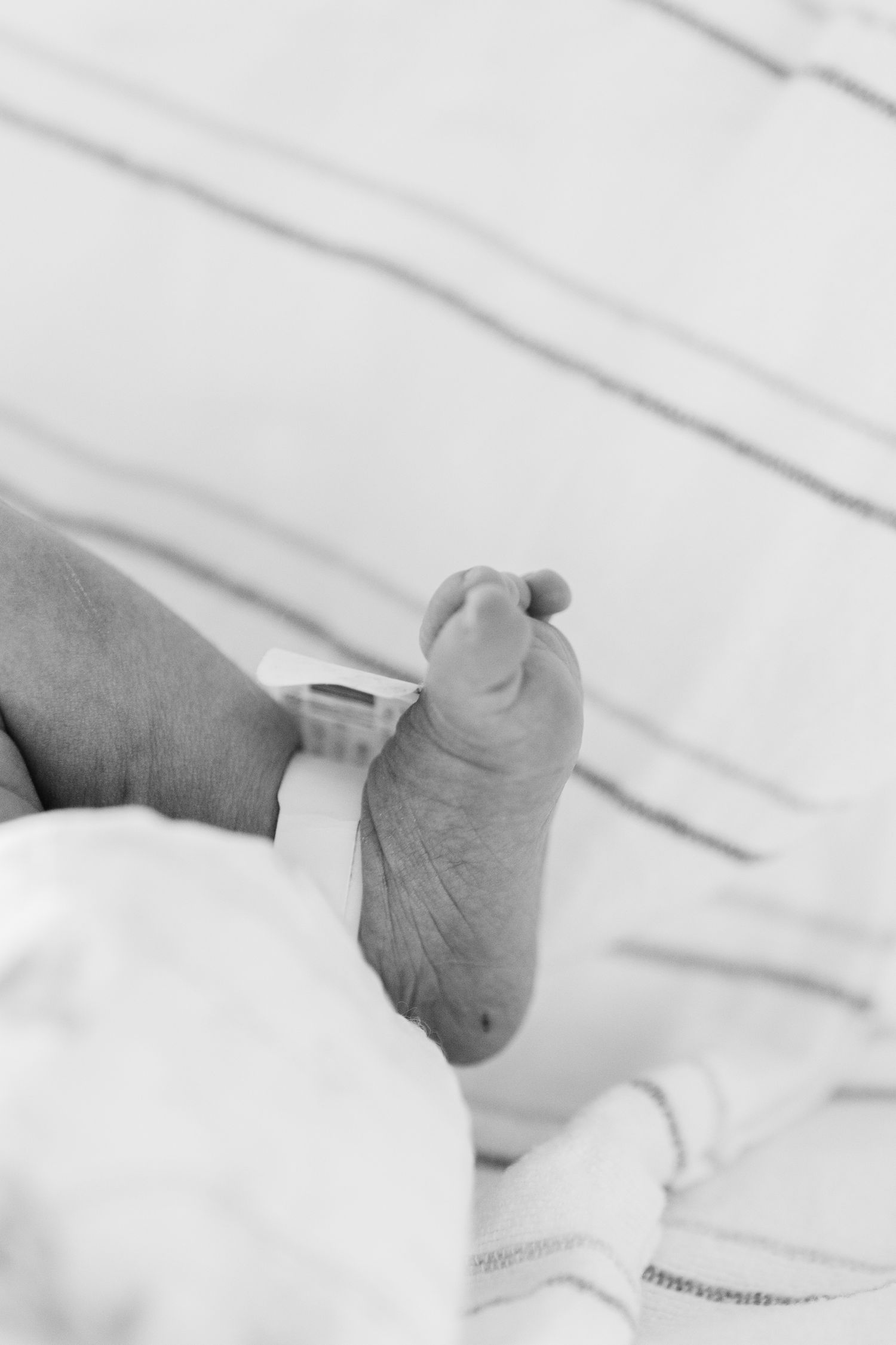 Detail shot of tiny newborn baby feet with hospital identification band.