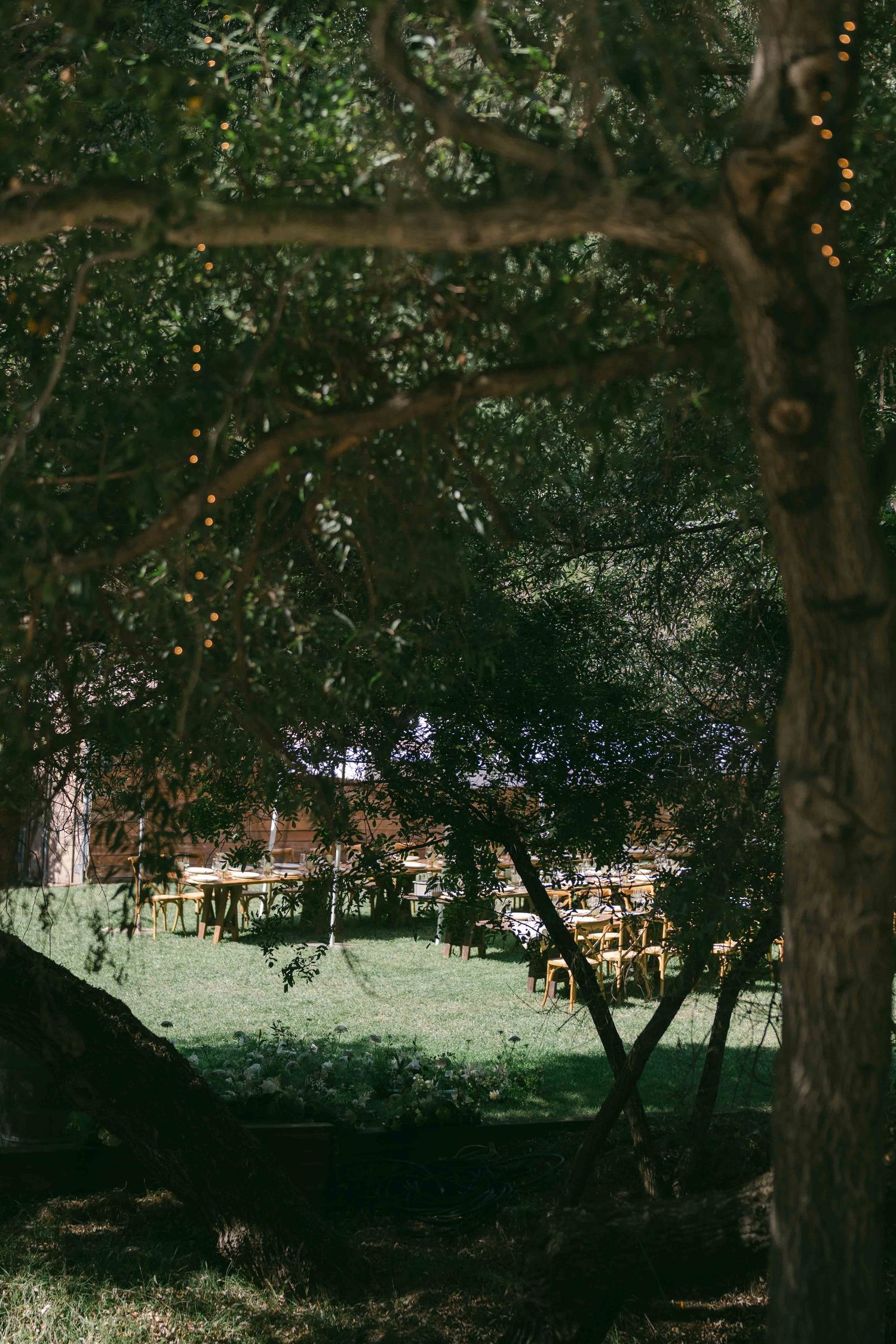 Scenic outdoor venue with trees creating natural shade and dappled sunlight.