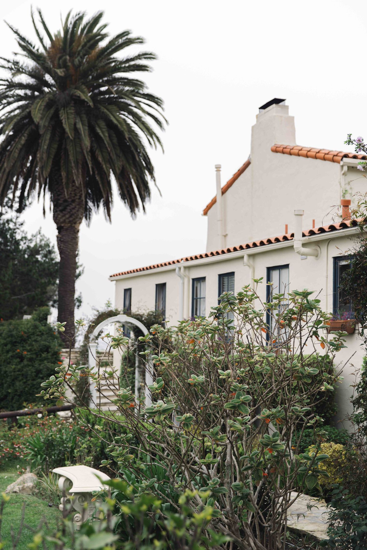 Mediterranean style white house with red tile roof and tall palm tree in the garden.