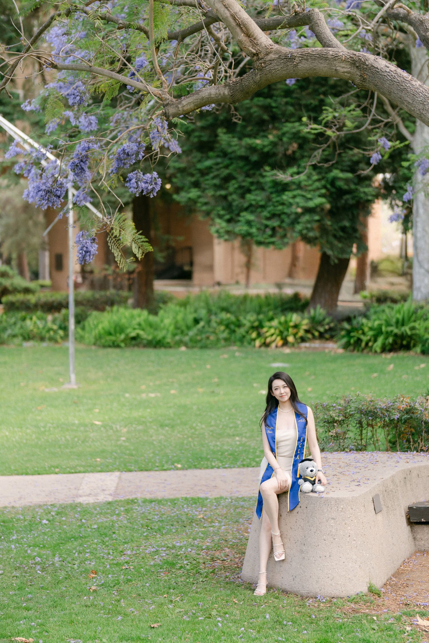 Graduate in blue stole sits on concrete bench under blooming jacaranda tree.