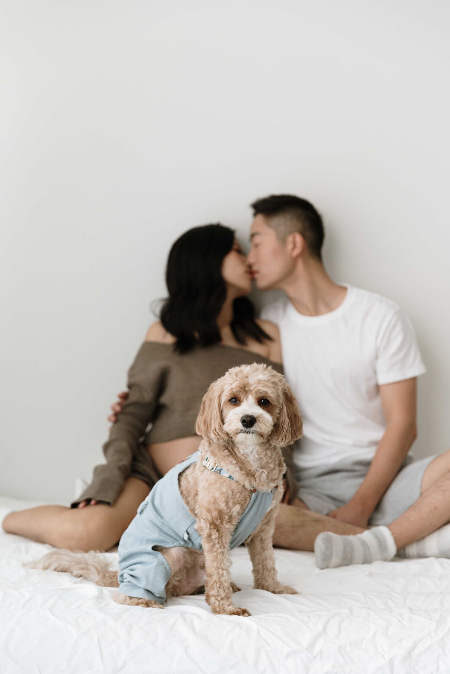 Couple lounges on bed with small dog wearing blue outfit.