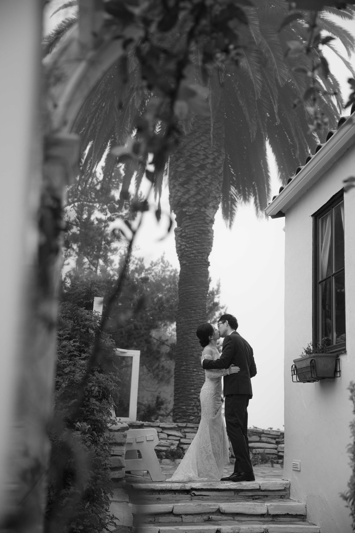 Wedding couple poses on stone steps against white building with palm trees in foggy garden setting.