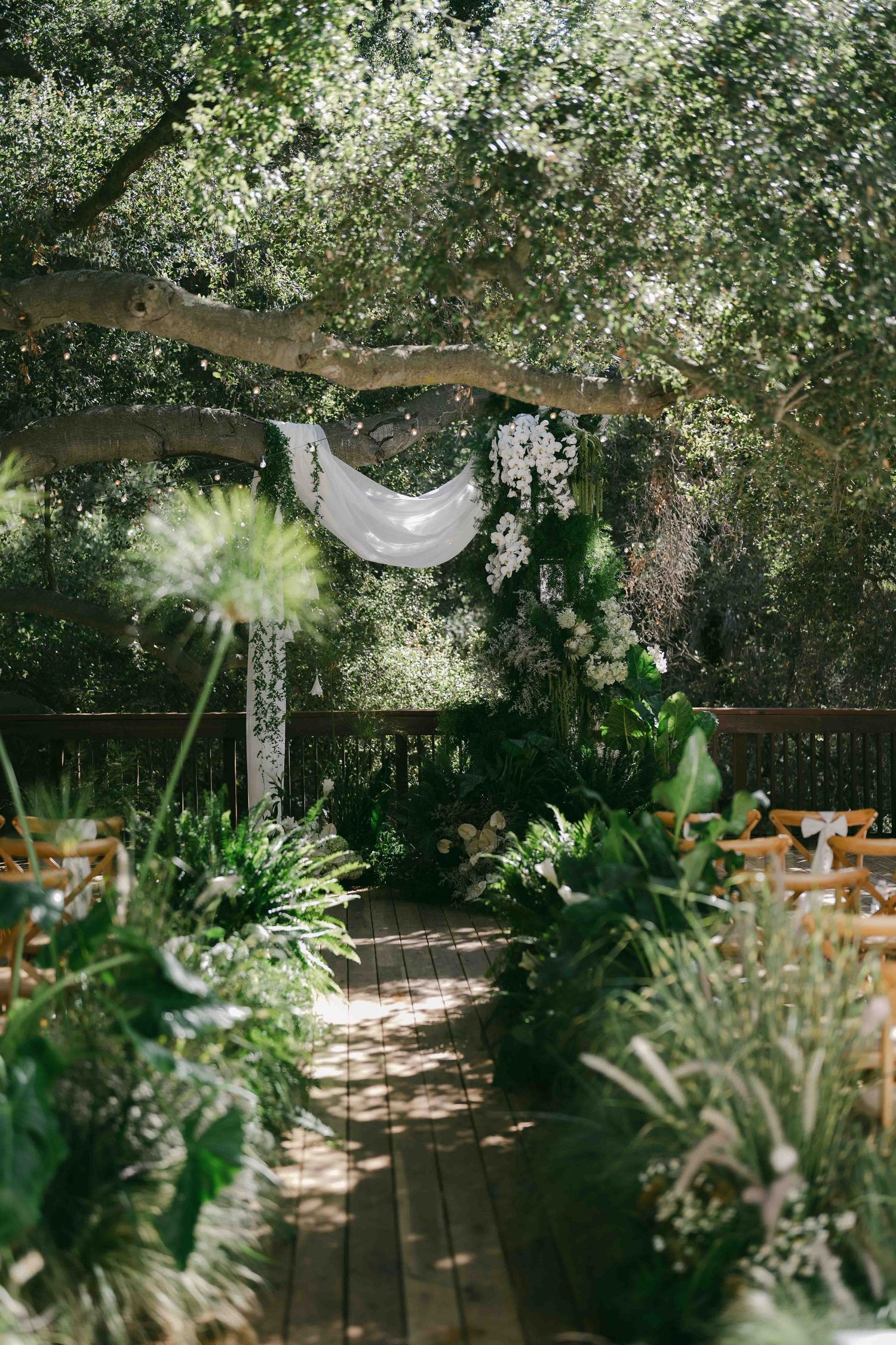 Outdoor wedding venue with wooden chairs arranged under flowering trees and hanging decorations.