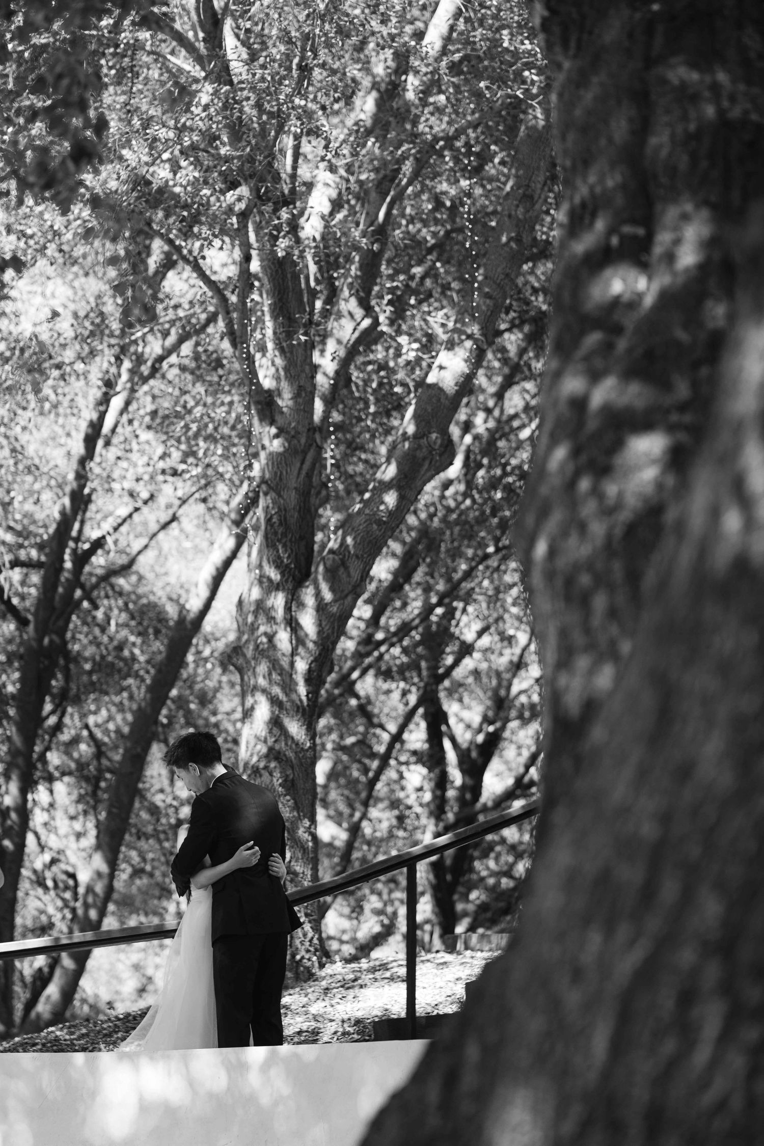 Black and white photo of a wedding couple standing among tall trees.