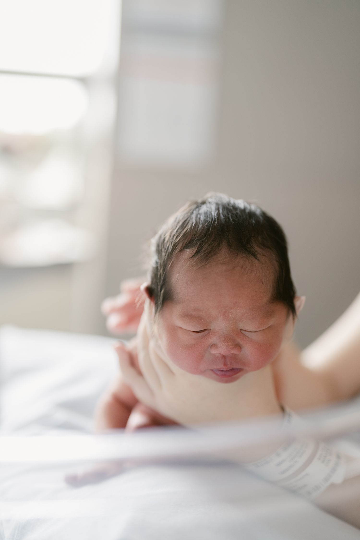 Soft focus image of newborn sleeping in natural window light.