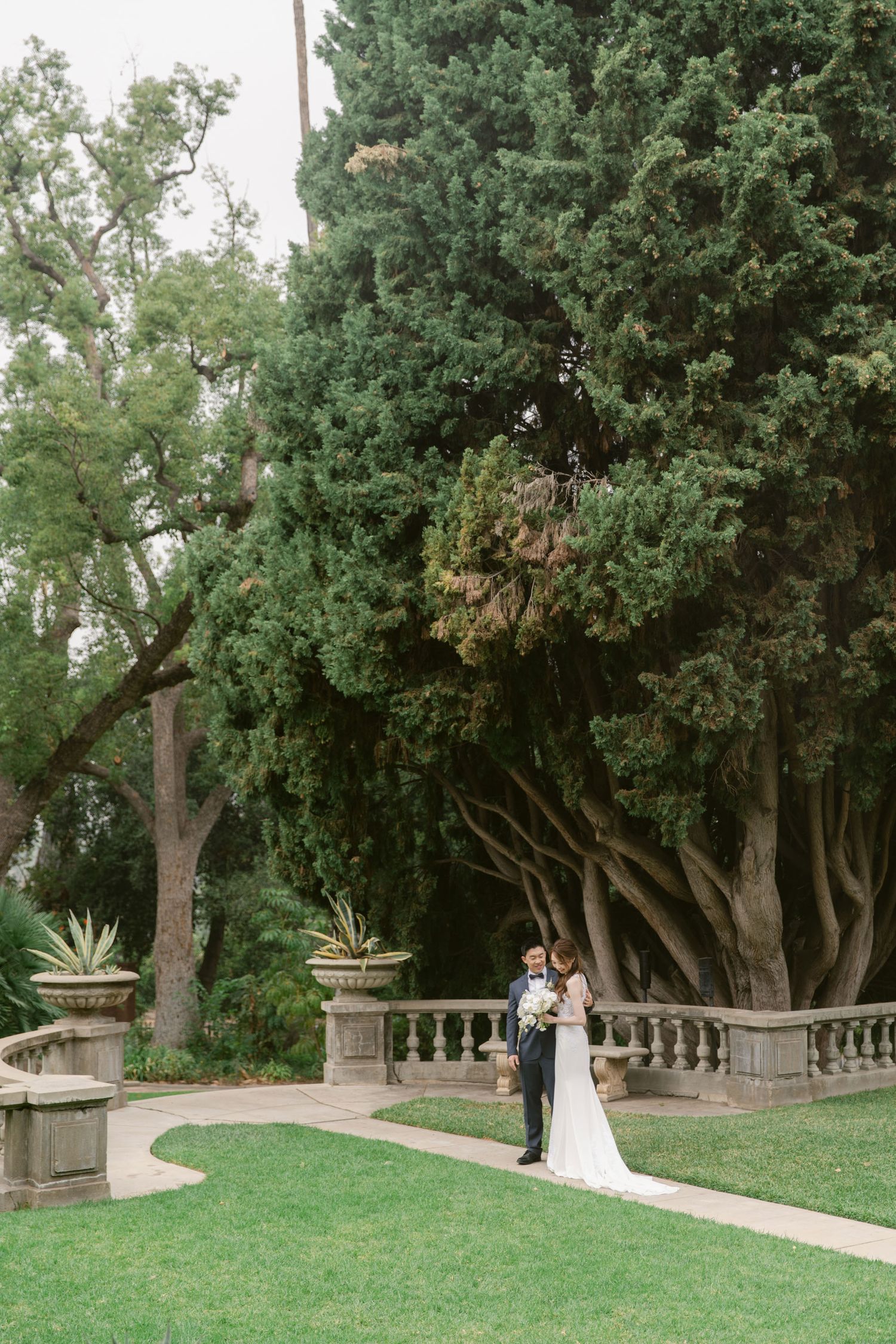 A wedding couple poses among majestic trees in a landscaped garden setting.