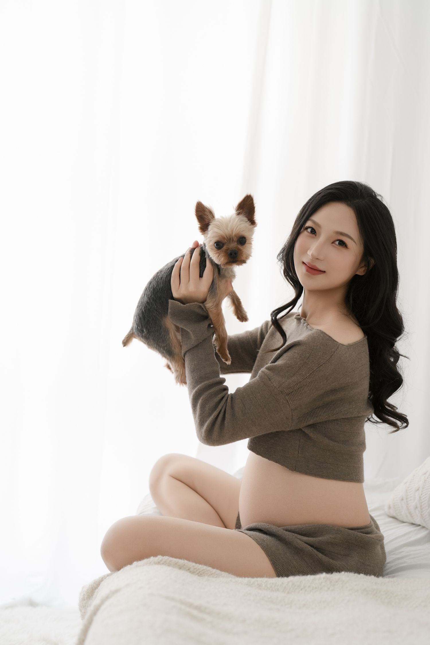 Maternity bedroom photoshoot with small brown dog and grey sweater.