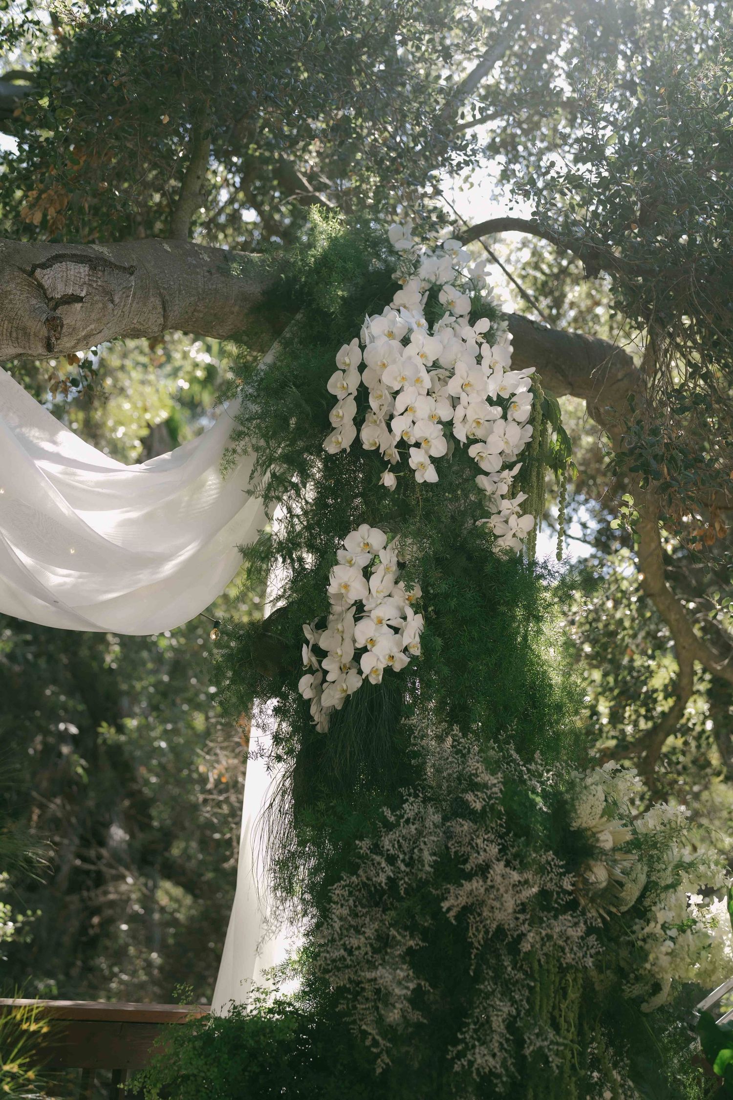White orchids and flowing fabric drape elegantly from a tree branch in a garden setting.