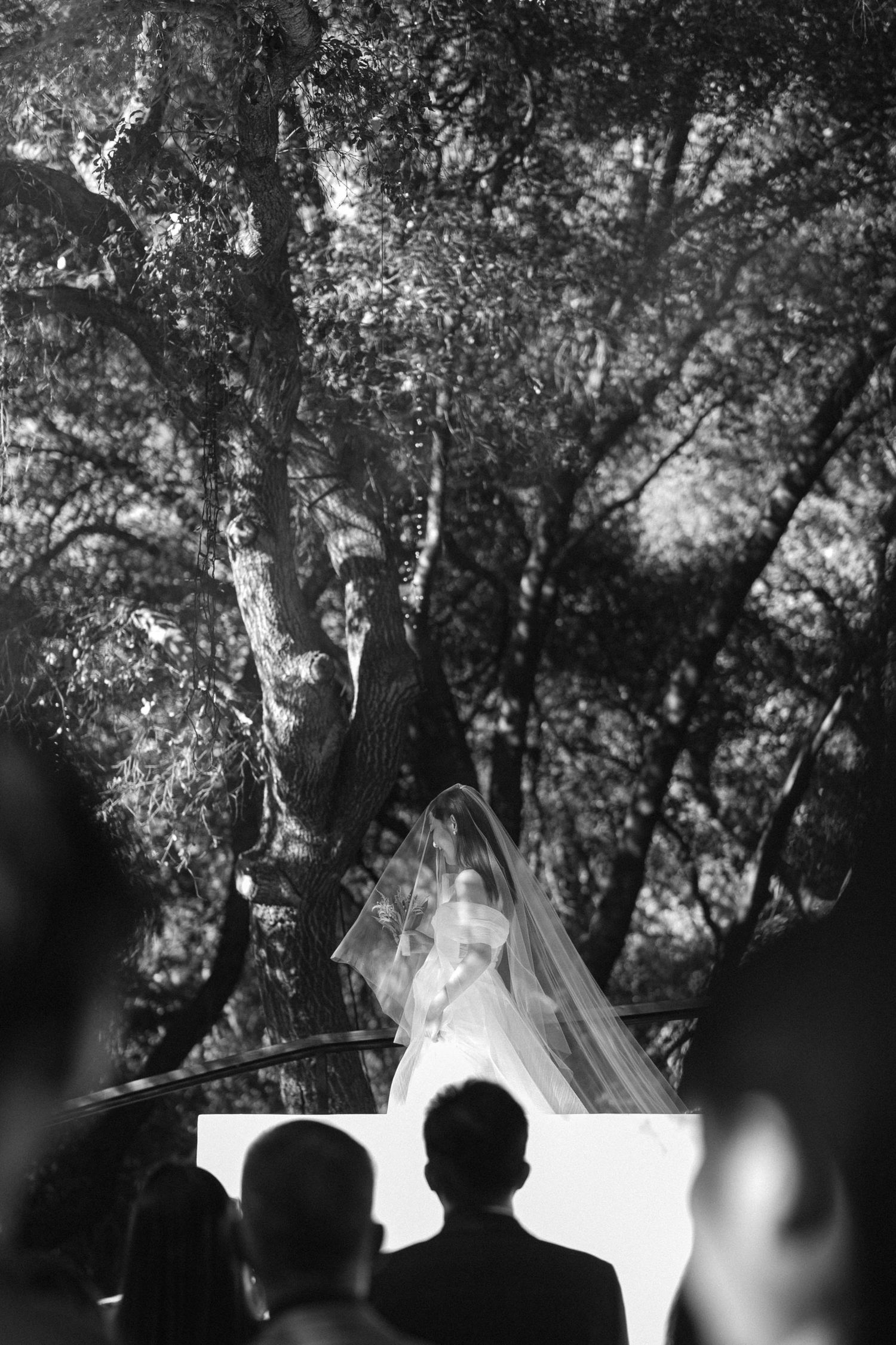 Silhouettes of wedding ceremony against sunlit trees.