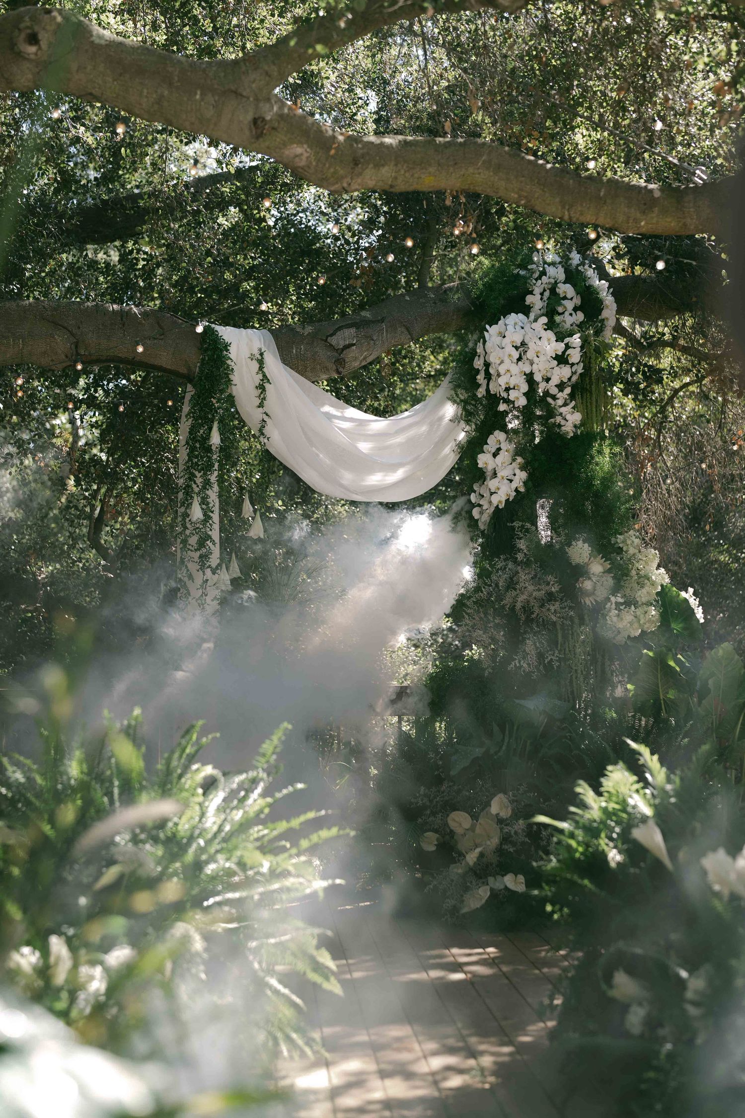 Dreamy garden scene with white fabric and orchids hanging from tree branches in misty light.