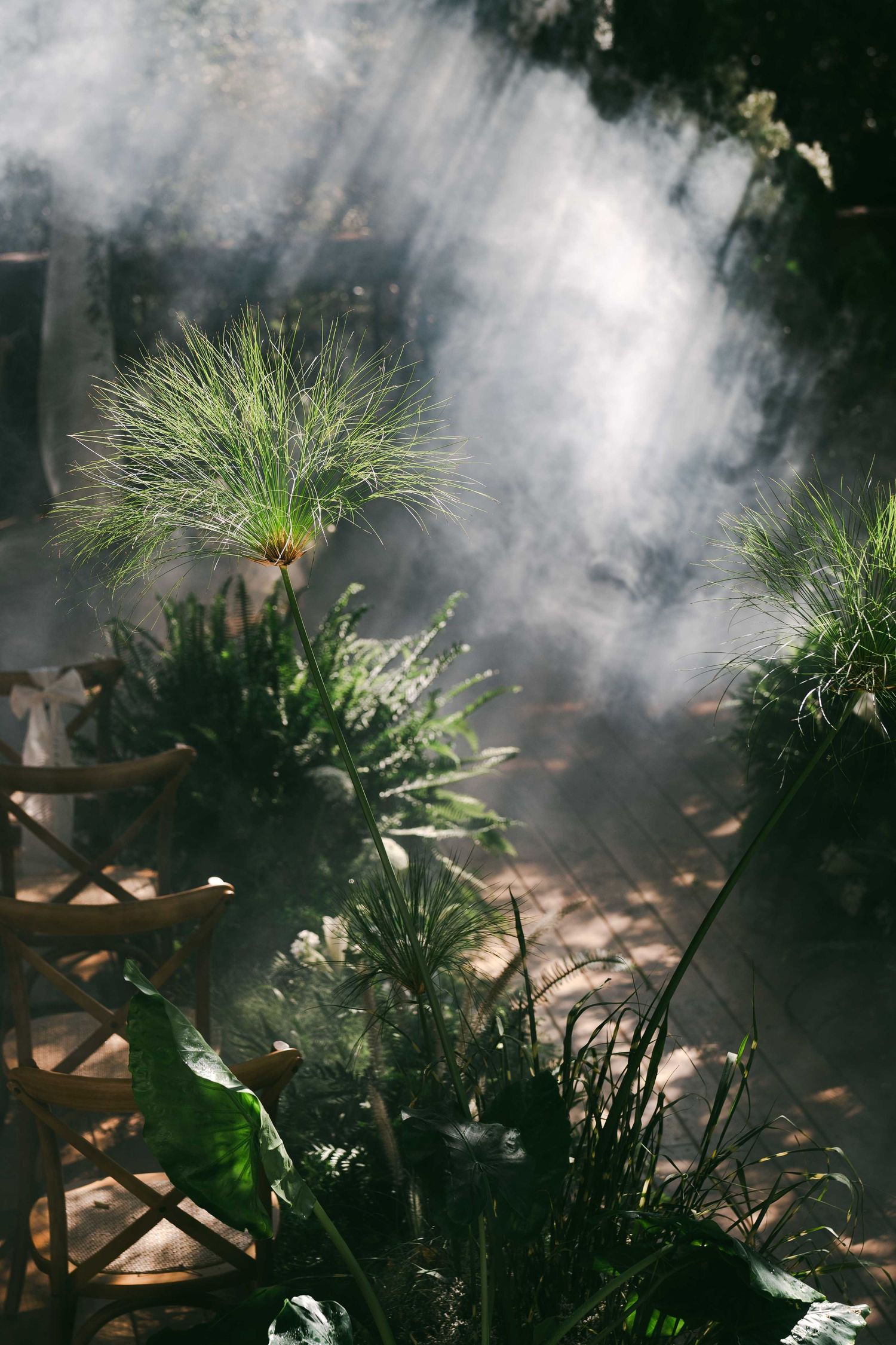 Ornamental grasses and chairs backlit by dramatic misty sunbeams in an outdoor setting.