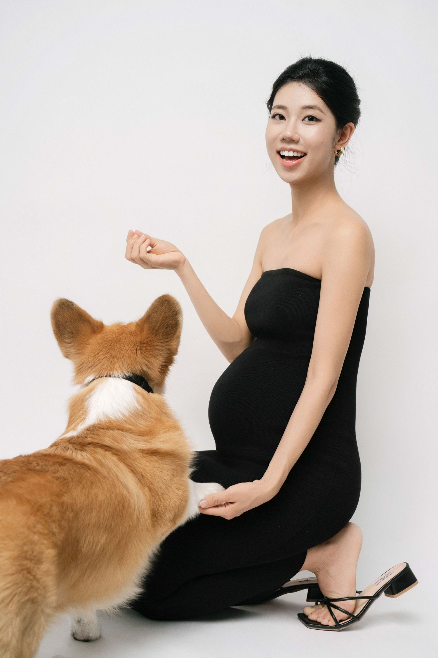 A pregnant woman in black dress poses with a Corgi dog against white background.
