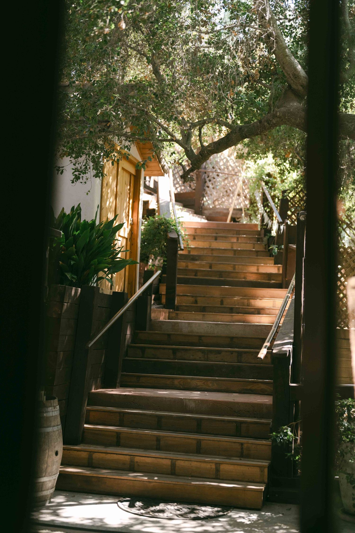 Wooden outdoor staircase surrounded by lush greenery and dappled sunlight.
