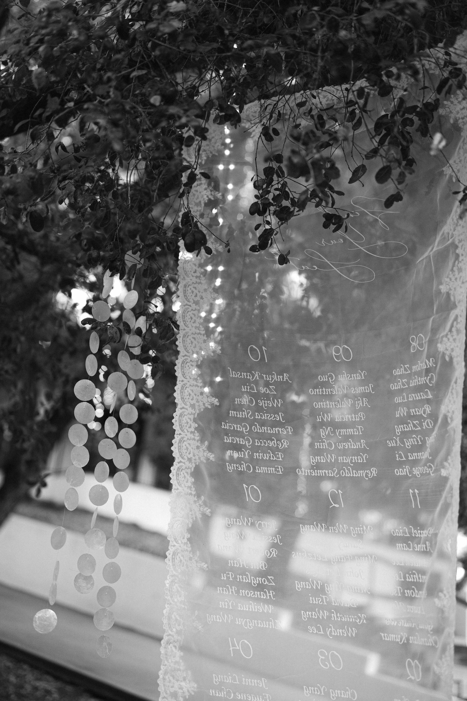 Wedding seating chart display with hanging lights and handwritten names.
