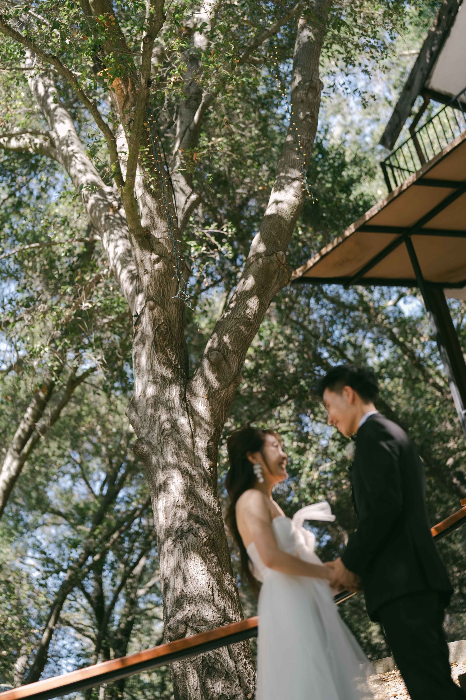 Wedding ceremony moment captured under a canopy of lush green trees.