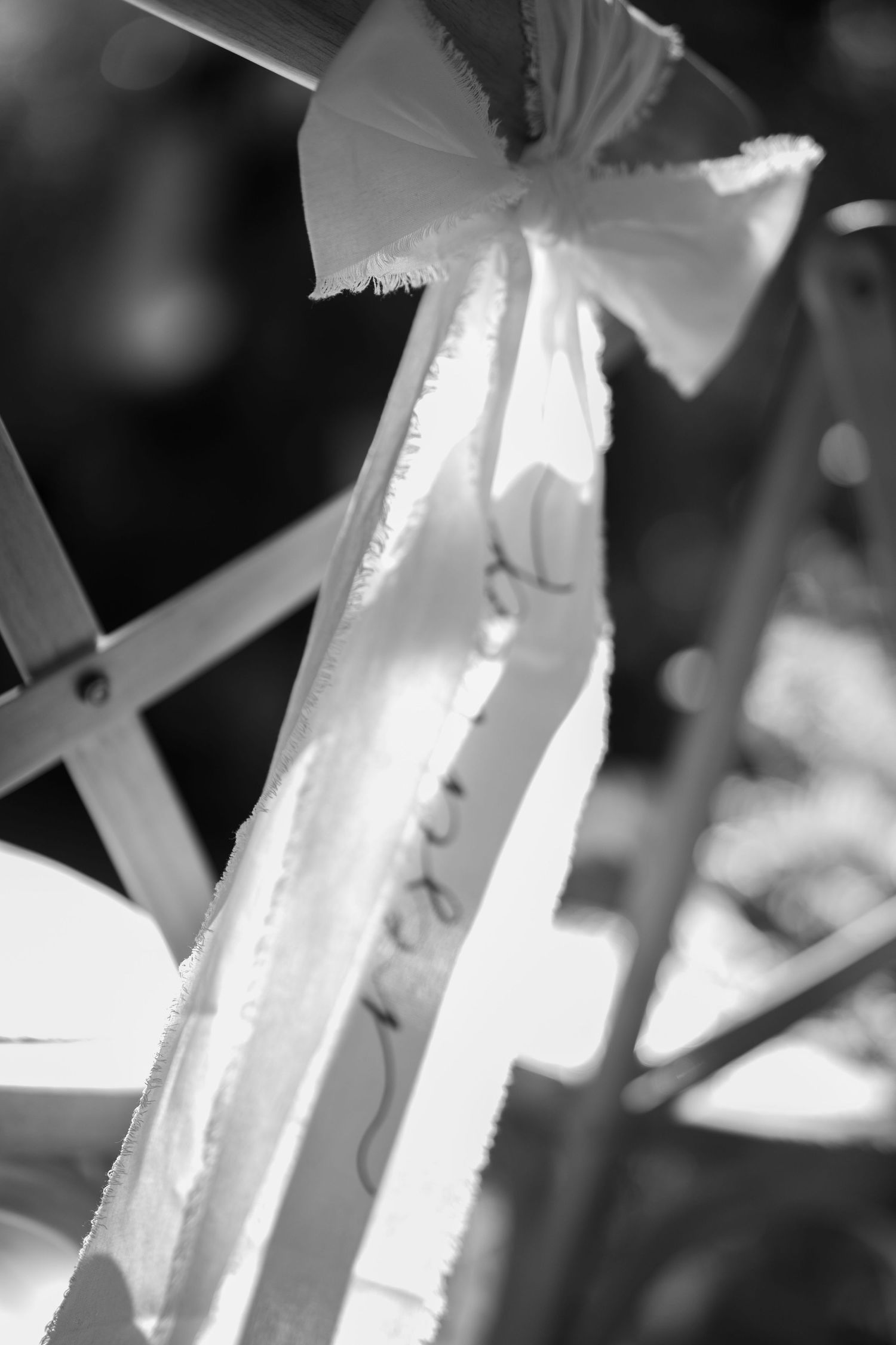 Abstract black and white image showing vertical white structures with dramatic lighting.