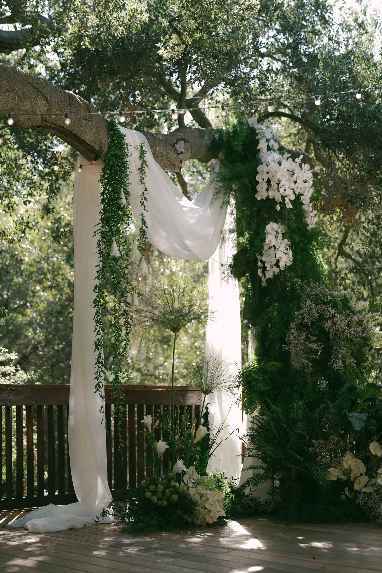 Elegant outdoor wedding arch decorated with white fabric, orchids and greenery.