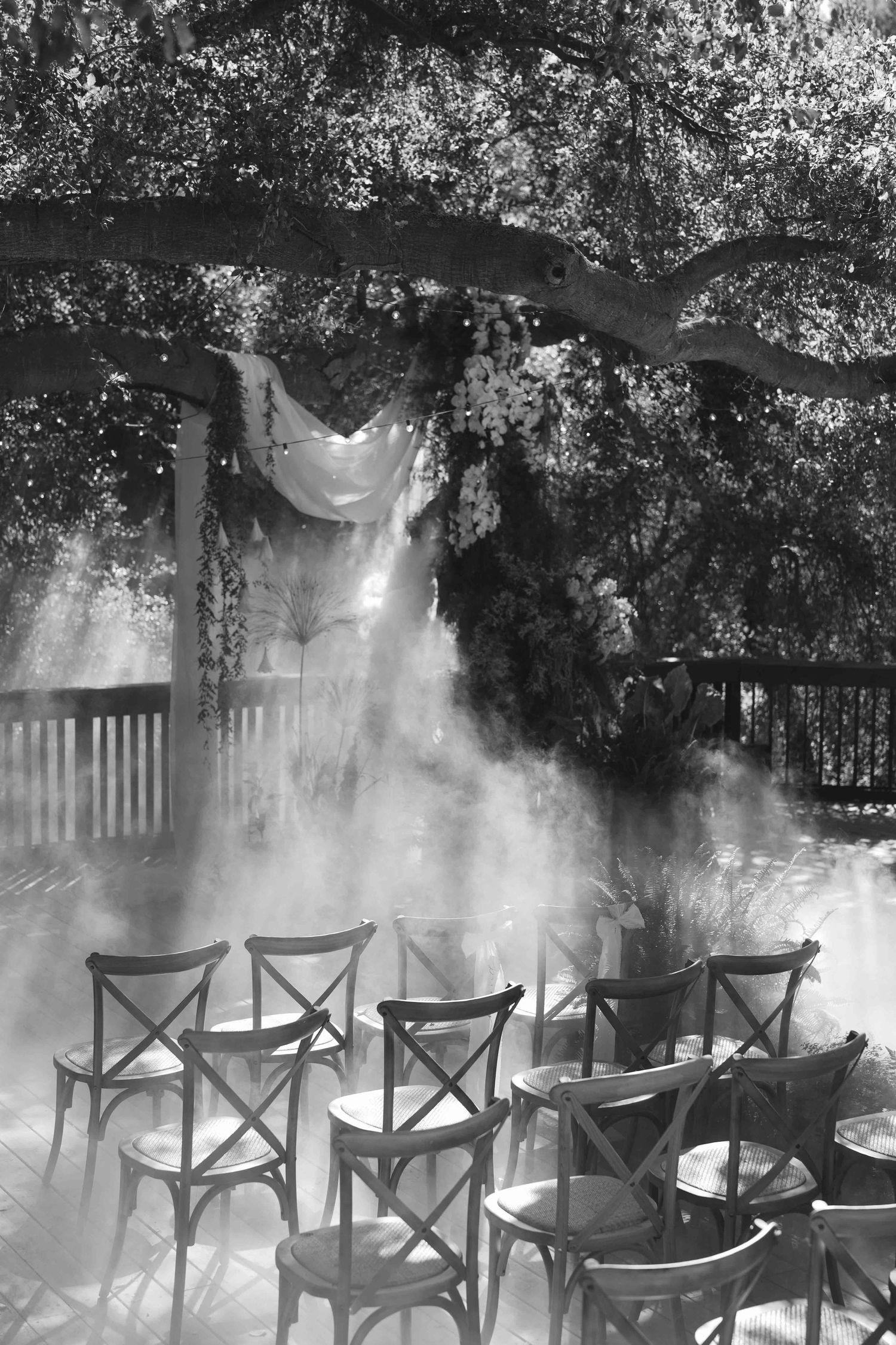 Cross-back chairs arranged under a decorated tree arch with ethereal fog effects.