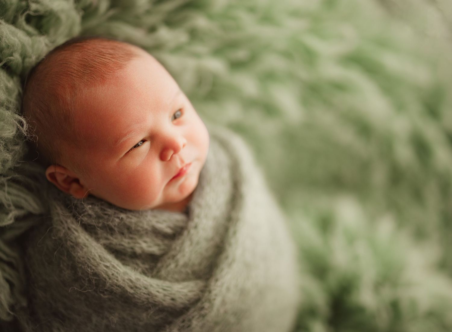 A peaceful newborn baby swaddled in a soft gray wrap, resting on a fluffy green blanket. Richmond newborn photographer.