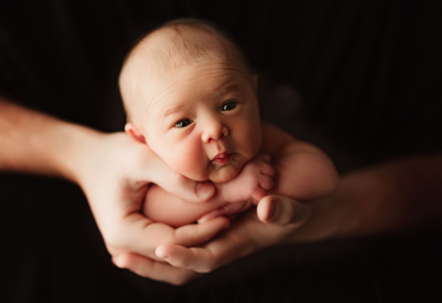 Newborn baby cradled gently in adult hands against dark background, peaceful infant portrait photography. baby photoshoot in studio