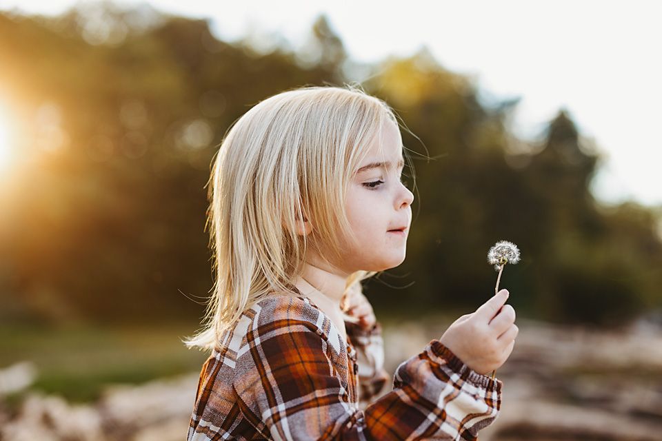 Blonde child blowing dandelion in warm sunset light outdoors.