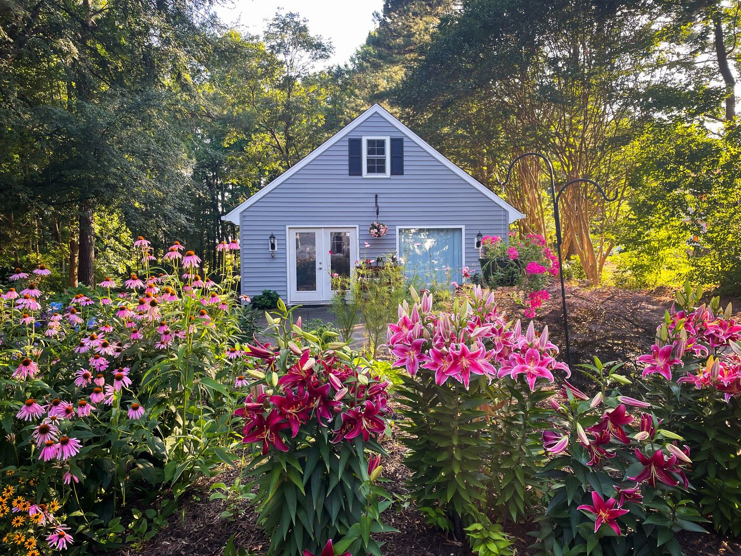 Charming blue cottage surrounded by vibrant pink lilies and echinacea flowers in a lush garden. Anne Weston Photography studio