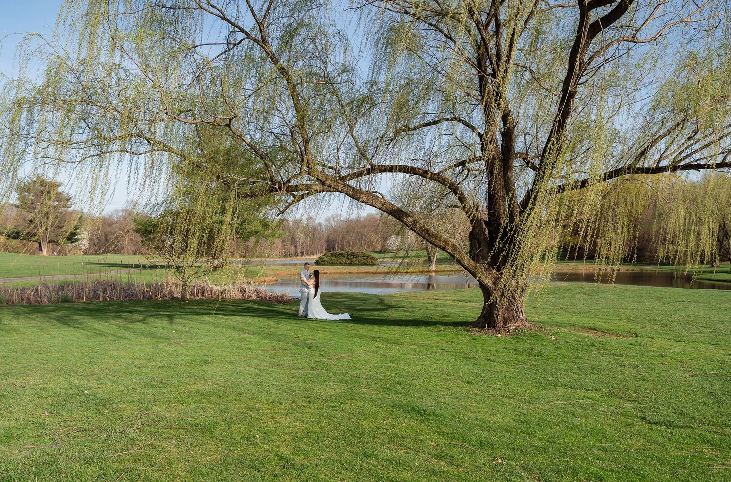 Bride and groom pose under a weeping willow tree by a serene pond on a lush green lawn.