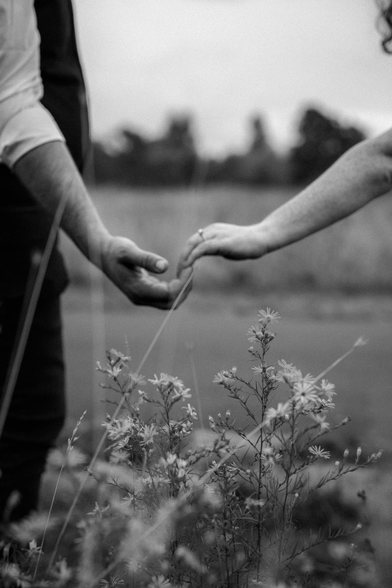 Black and white romantic photo of a couple gently holding hands above wildflowers blooming in a field.
