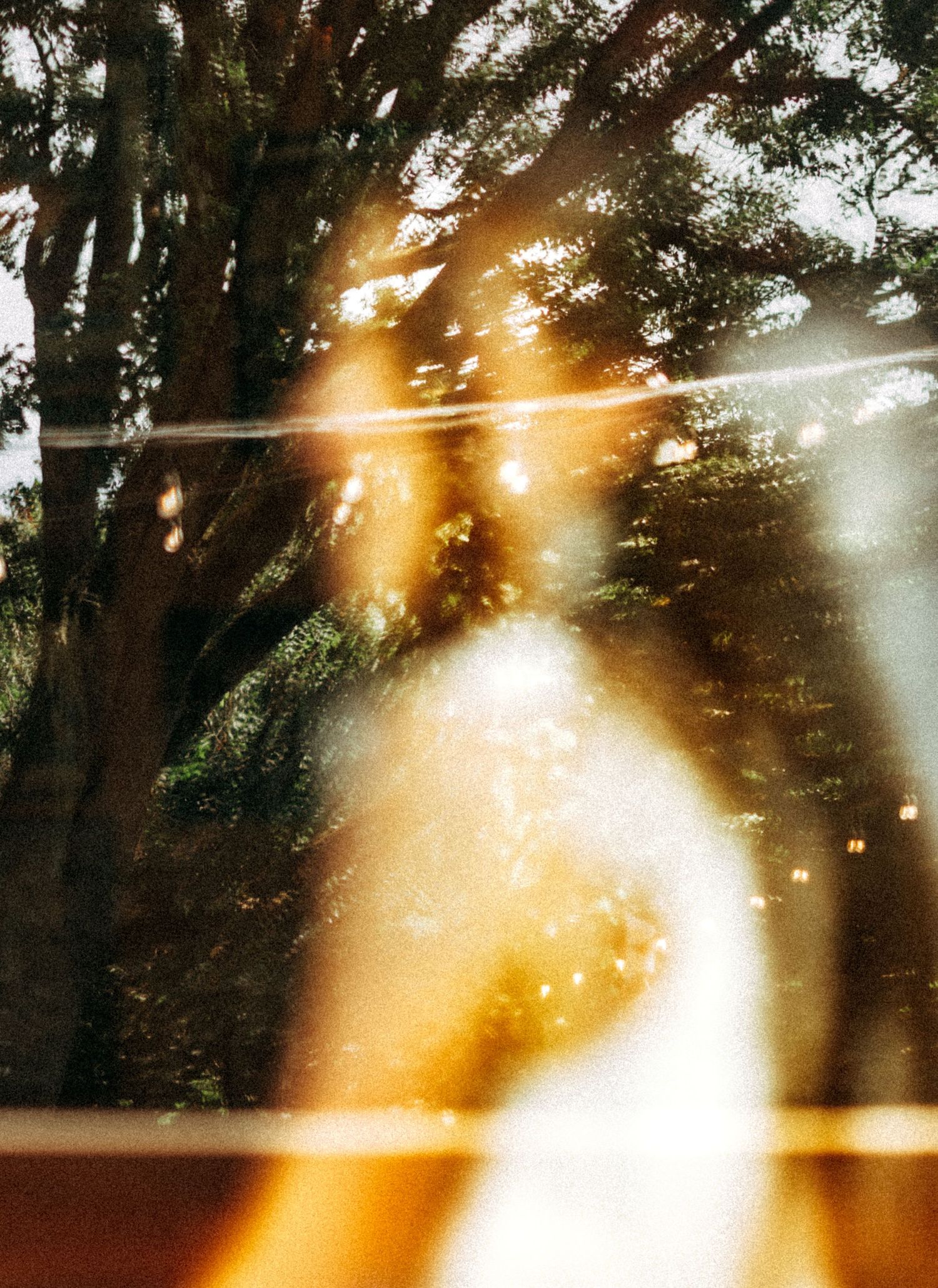 Dreamy blurred photo of bride in white dress surrounded by sunlit trees.