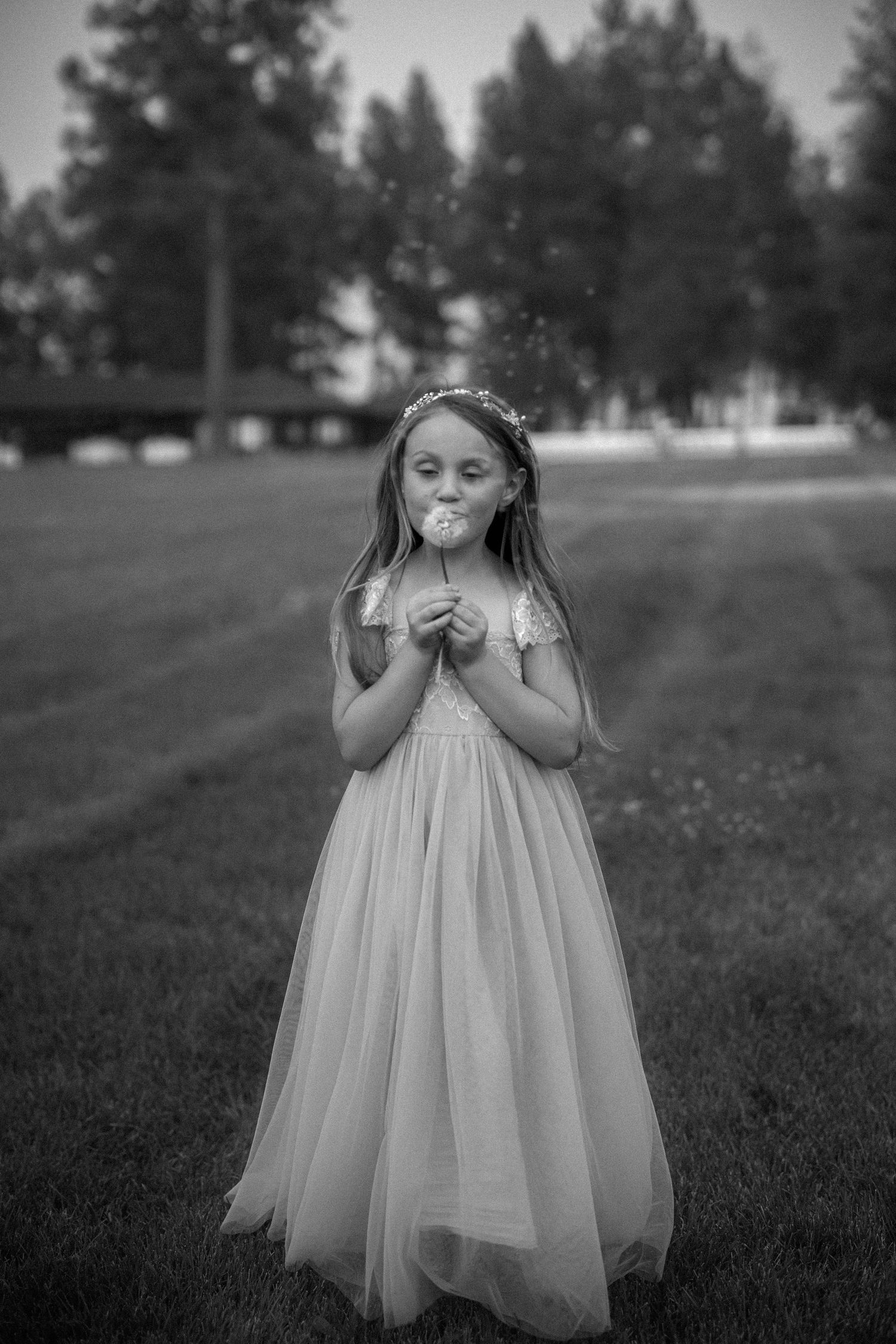 Black and white portrait of a flower girl in a tulle dress blowing a dandelion outdoors at a wedding.