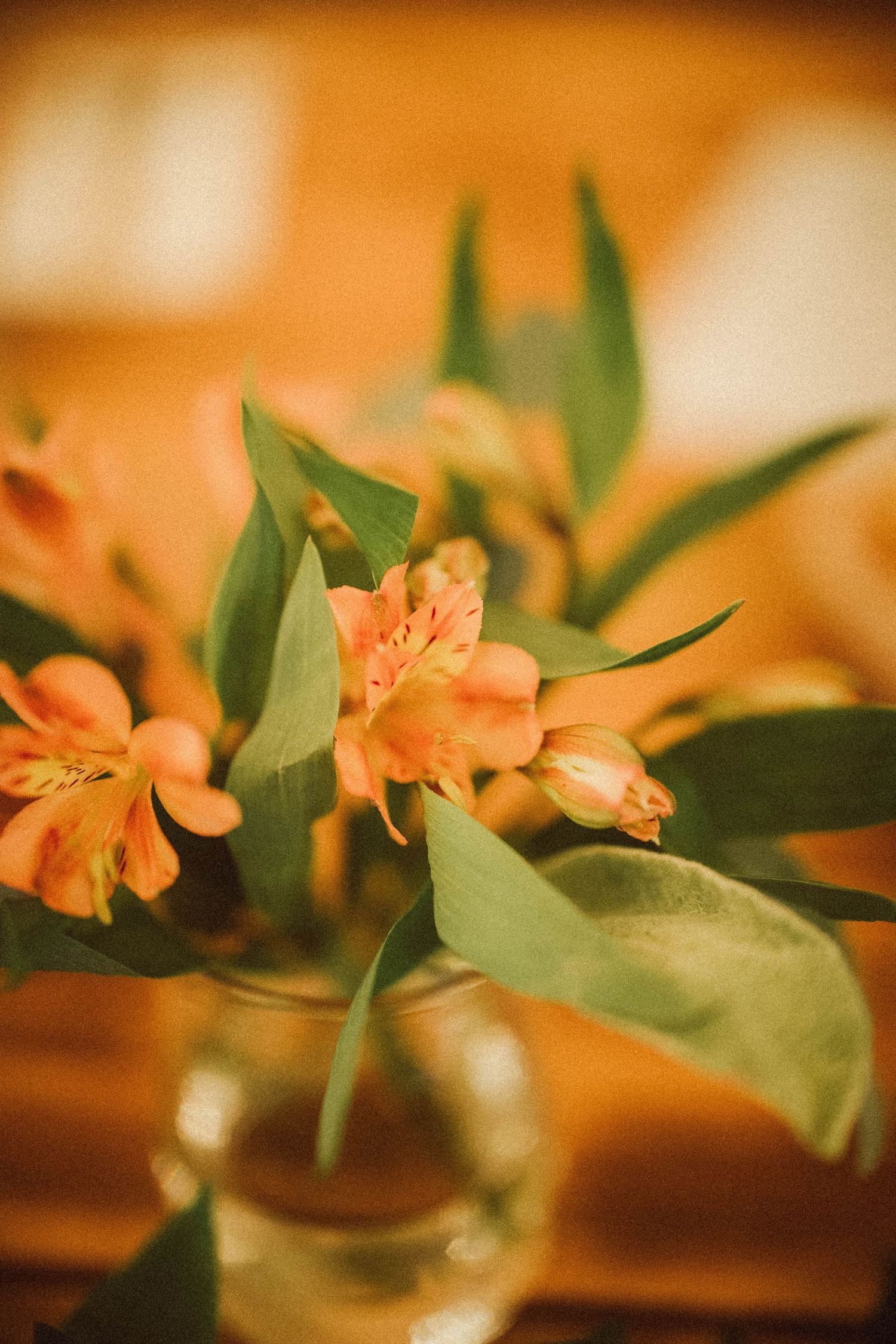 A close-up of vibrant orange alstroemeria flowers with green leaves arranged in a clear glass vase.