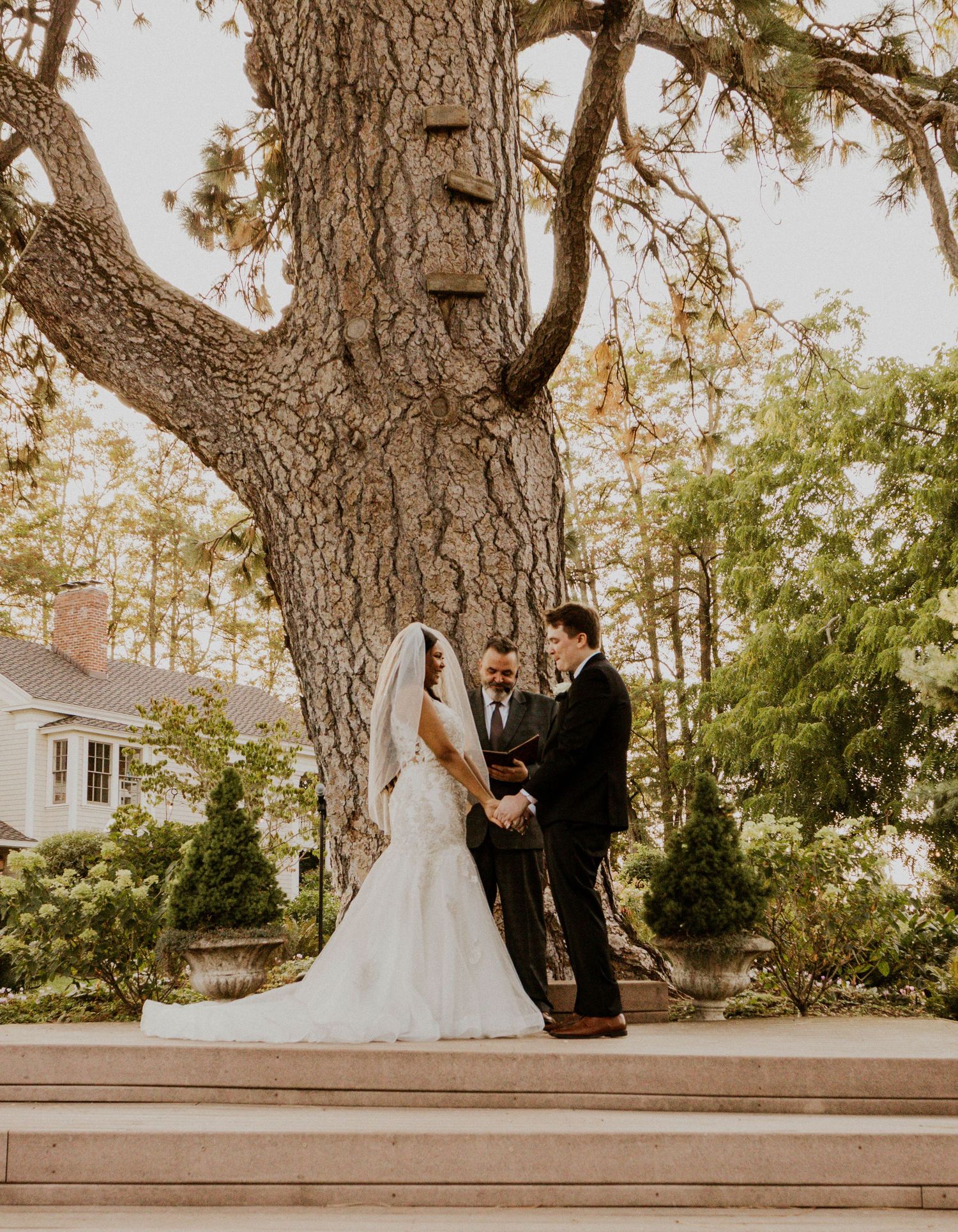 A bride and groom exchange vows beneath a massive tree trunk in a garden wedding ceremony.