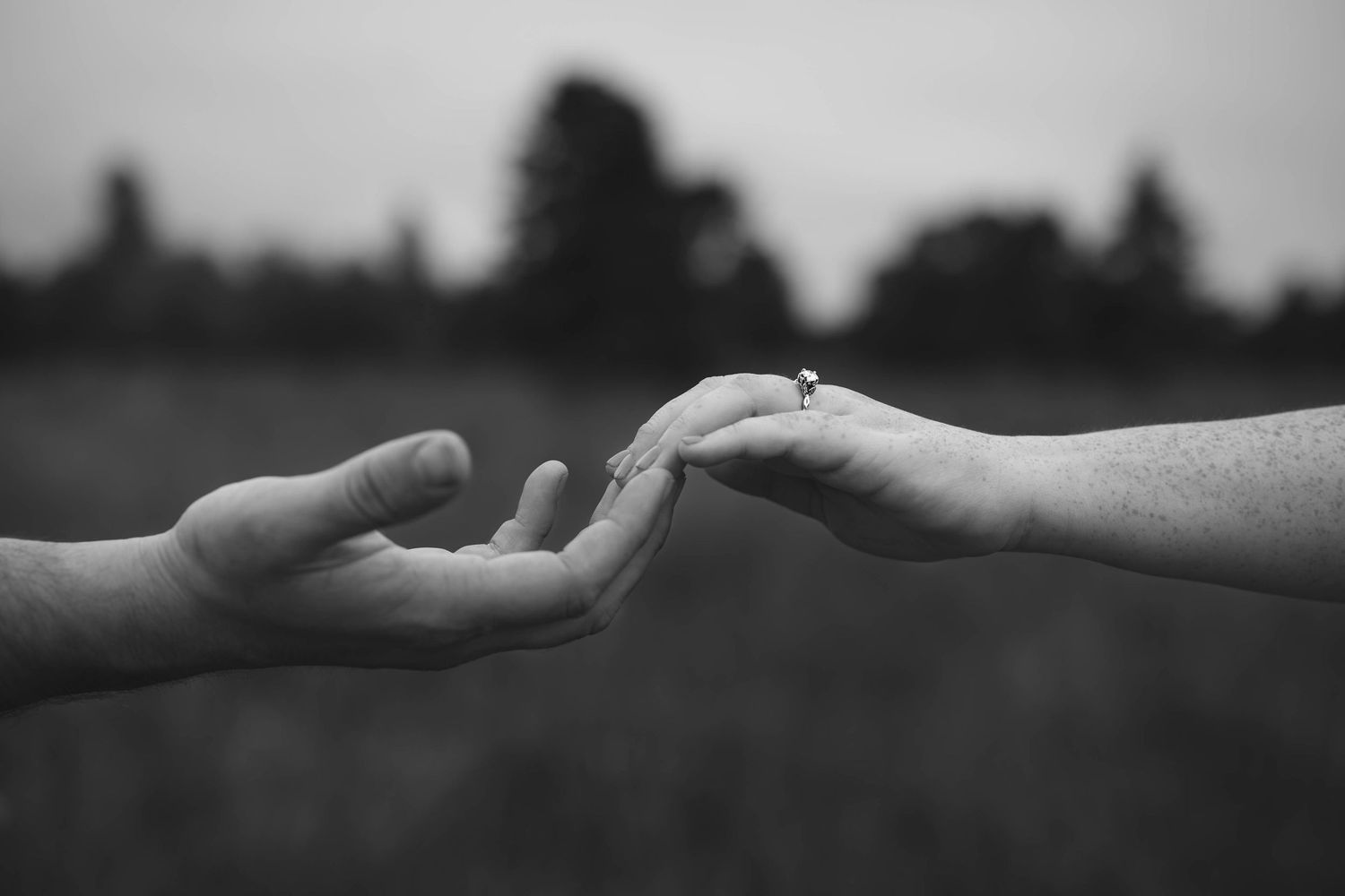 Black and white photo of two hands almost touching fingertips in a romantic outdoor setting.
