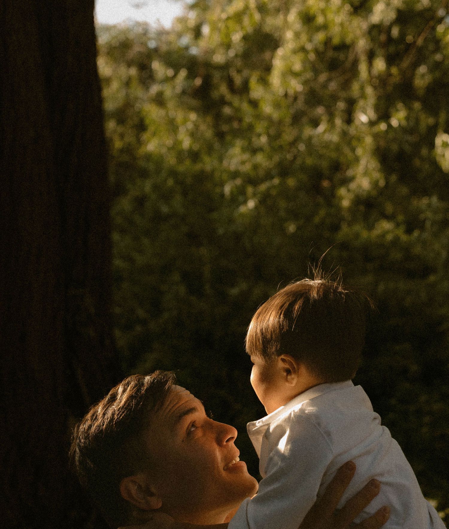 A father gazes lovingly at his baby while holding them up against a lush green tree backdrop in golden light.