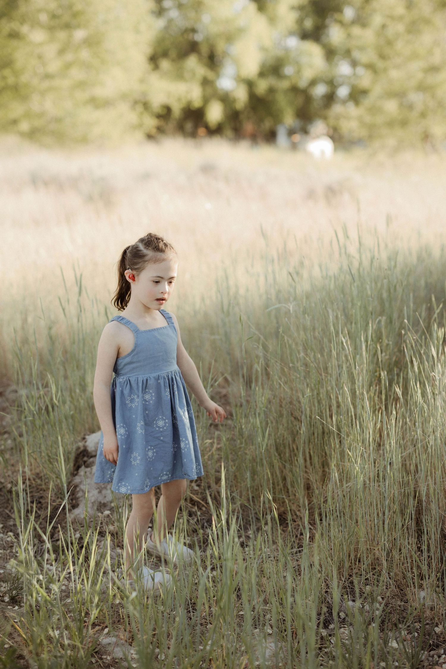 A young girl in a blue sundress walks through tall golden grass in a sunlit outdoor field.