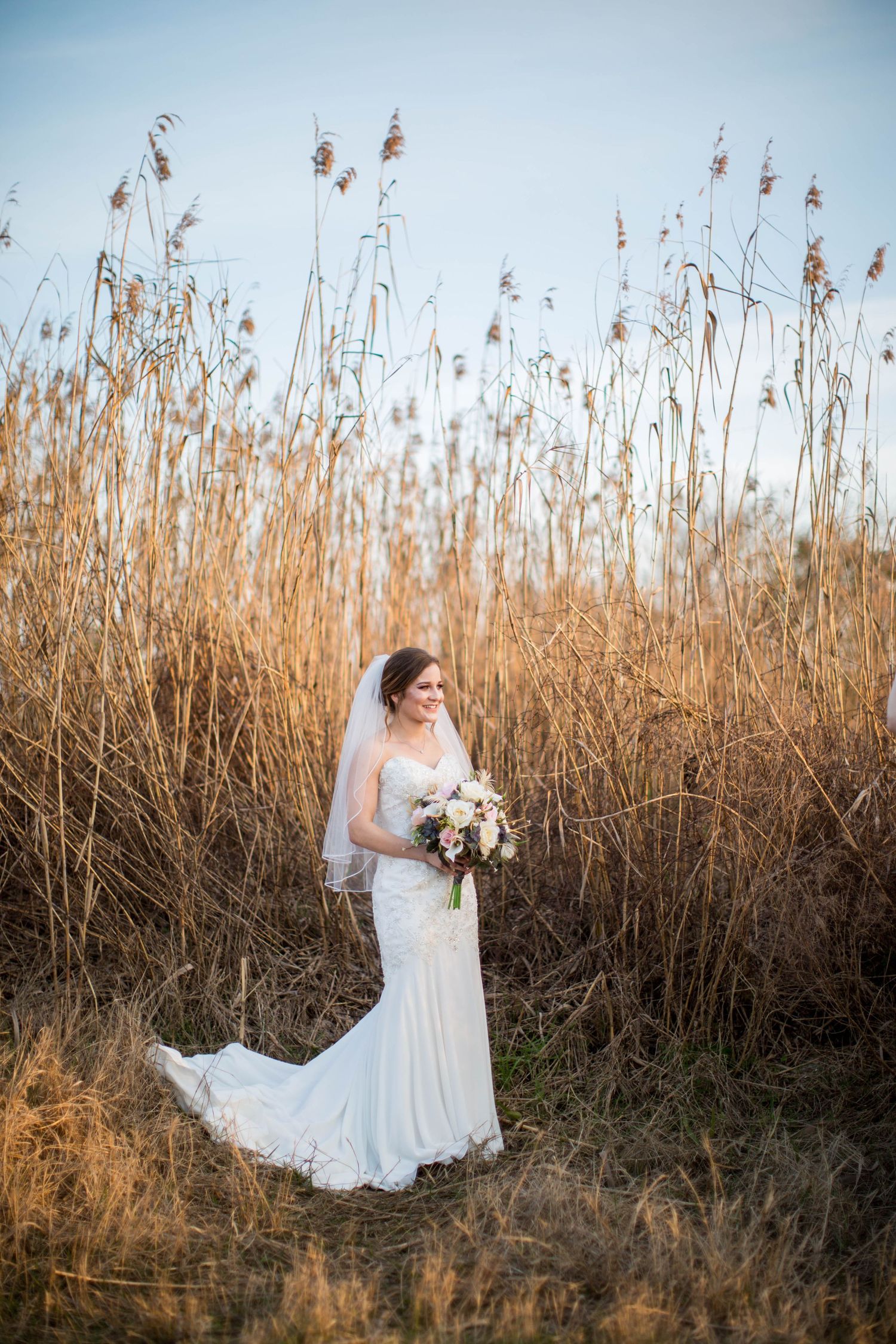 Elegant bride in fitted white gown with veil poses in golden reed field holding bouquet.